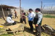 برگزاری اردوی جهاد دامپزشکی در روستاهای محروم شهرستان کوهدشت